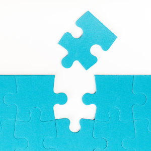 Missing Piece Employee Development