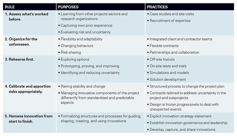 Five Innovation Rules for Large High-Risk Projects