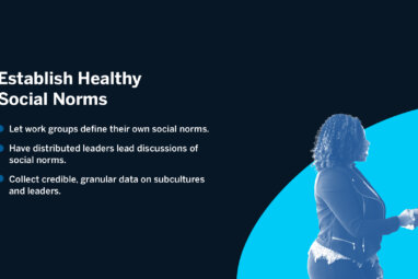 Establish Healthy Social Norms: Let work groups define their own social norms; Have distributed leaders lead discussions of social norms; Collect credible, granular data on subcultures and leaders.